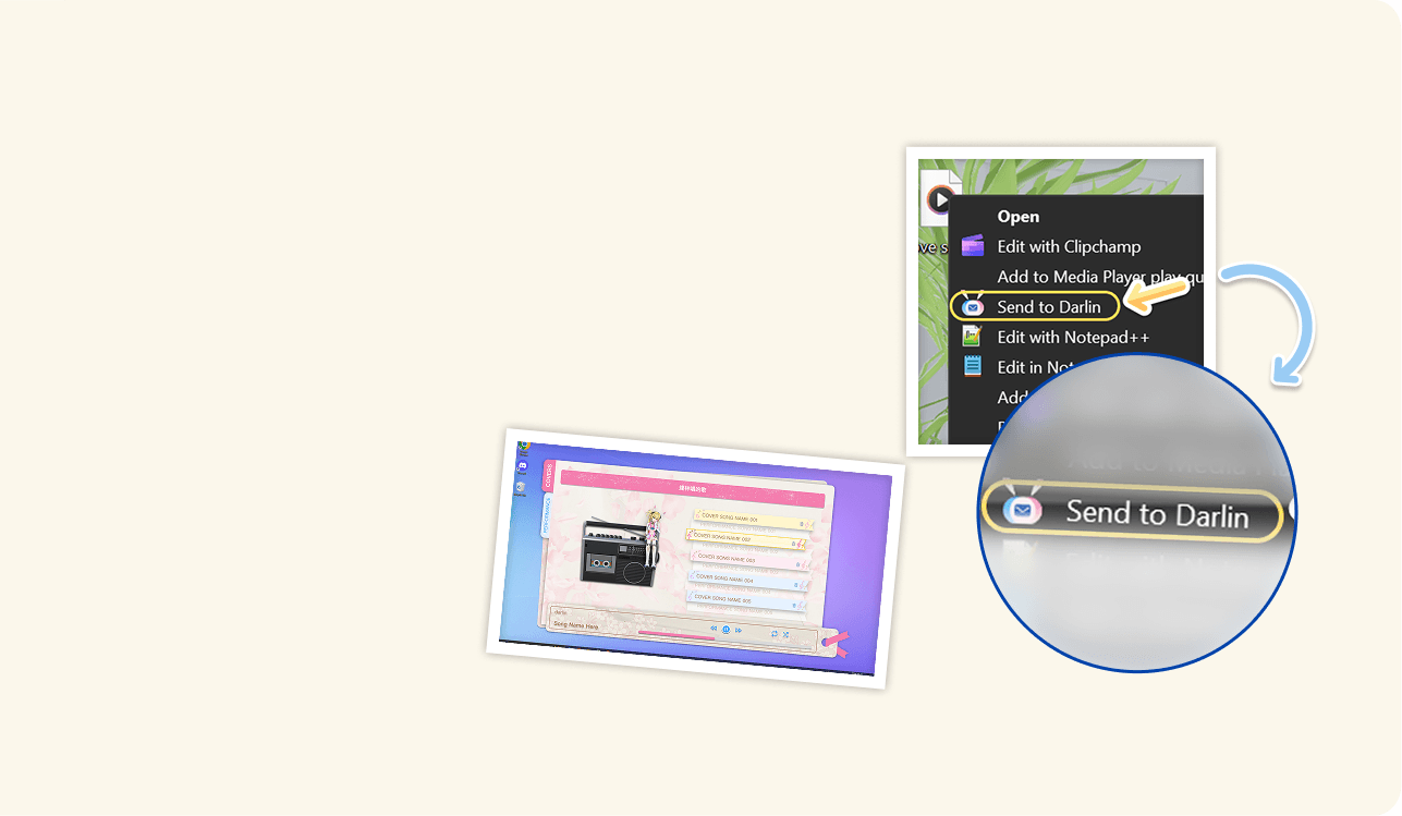 Your Music Collection